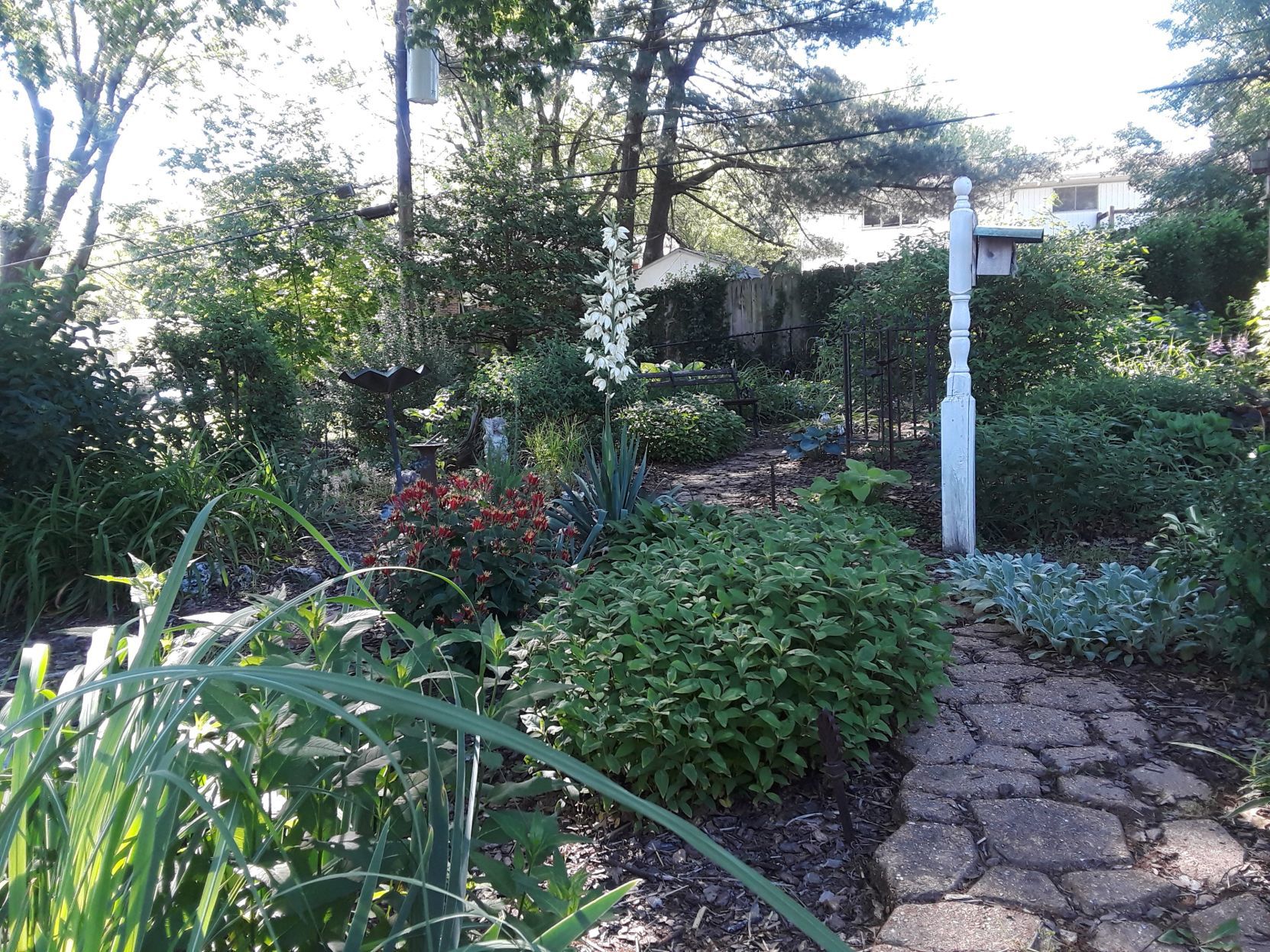 My oasis
